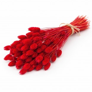 Flori uscate decorative Talaris Roșu 60 cm